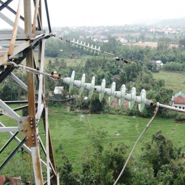 glass electrical insulators are the unsung heroes of the modern power grid