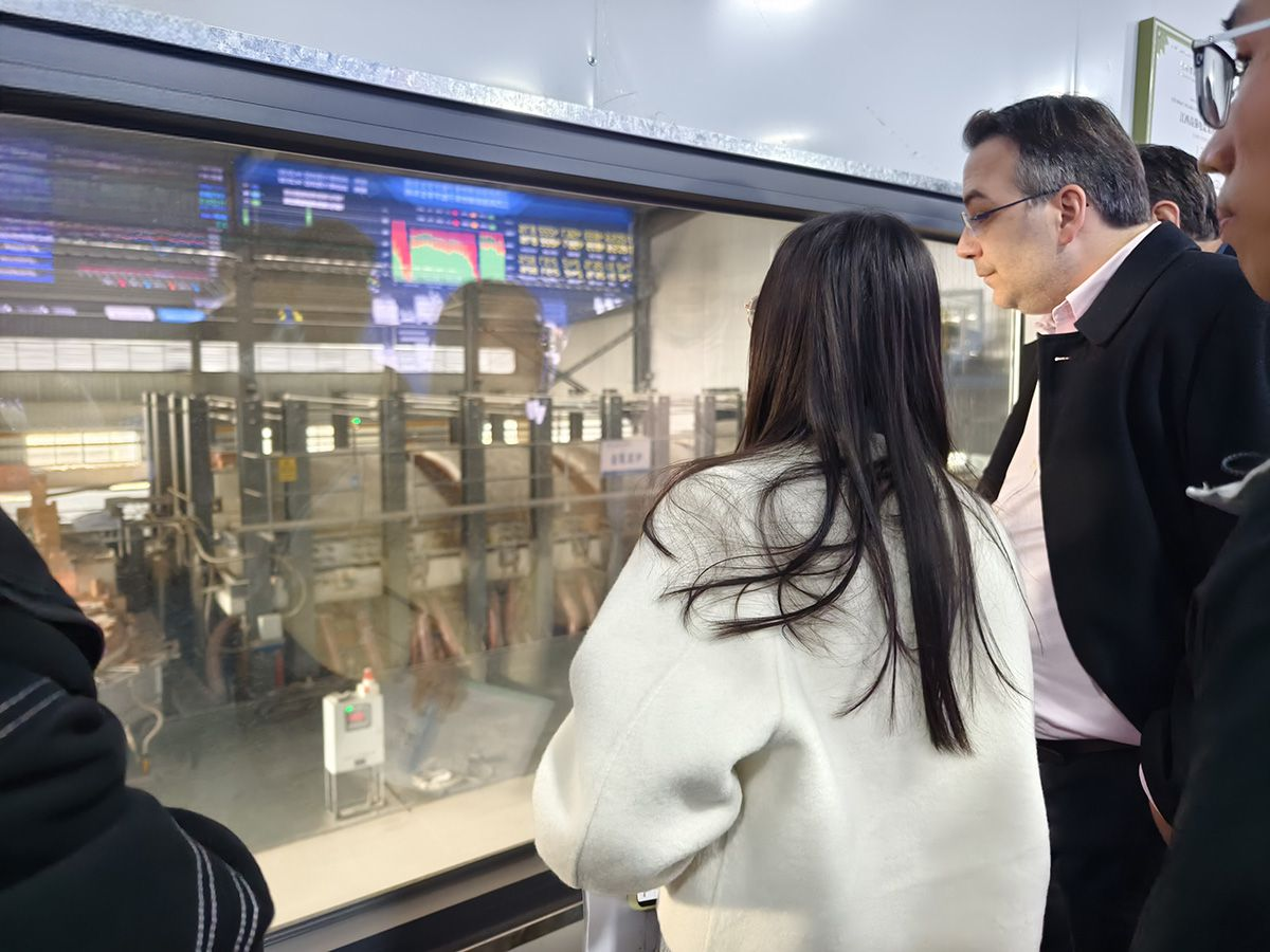 European customers visit SOLARIS to inspect the glass insulator and porcelain insulator production baseFigure 10